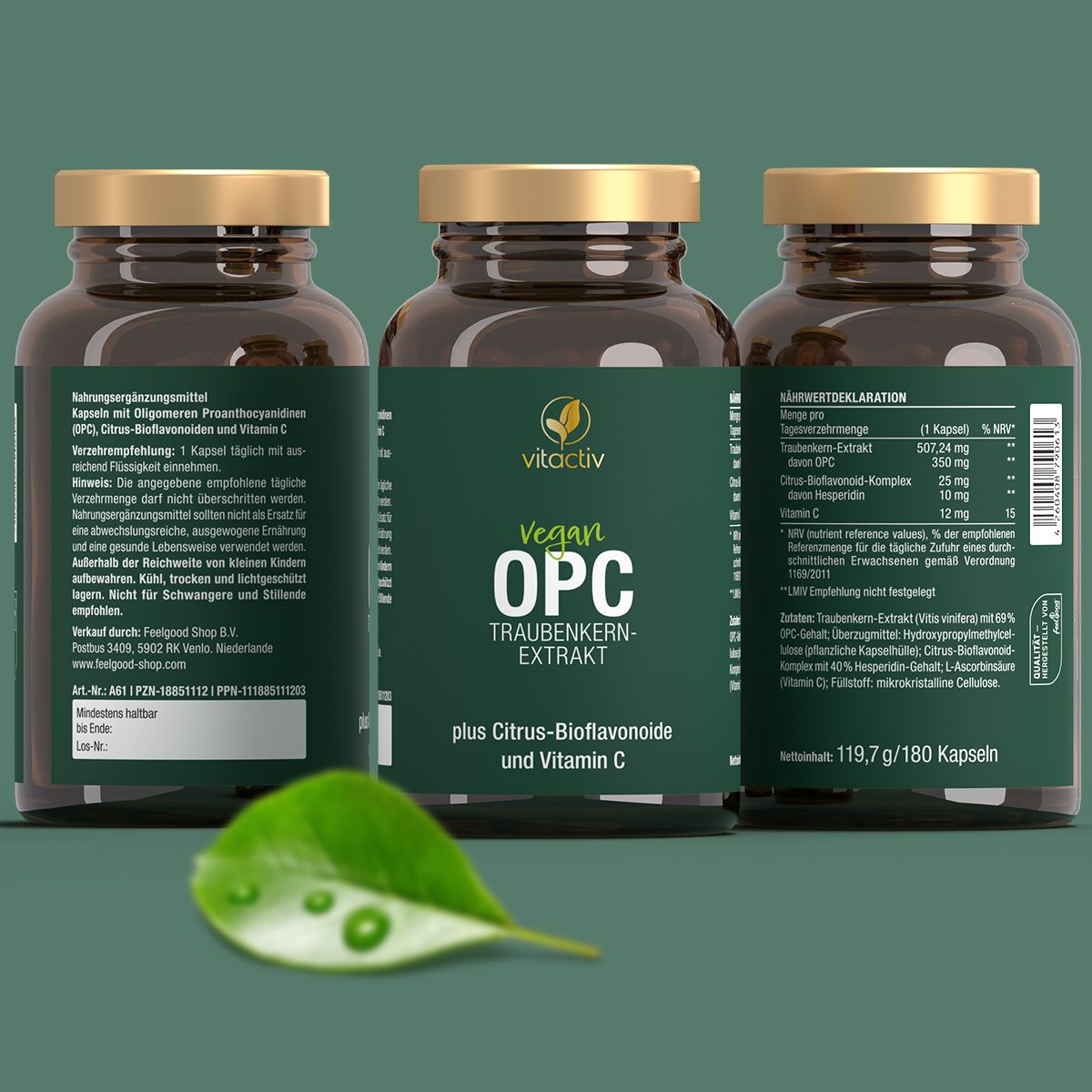 Vitactiv OPC Traubenkernextrakt