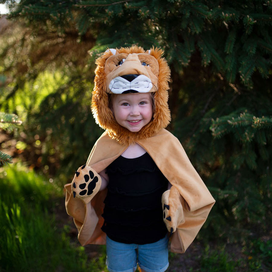 Cape Storybook Leeuw, 4-6 jaar
