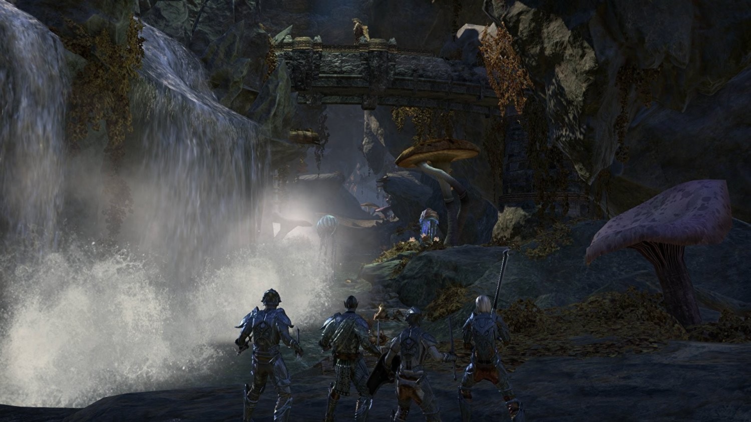 The Elder Scrolls Online: Morrowind (Day 1 Edition)- PlayStation 4