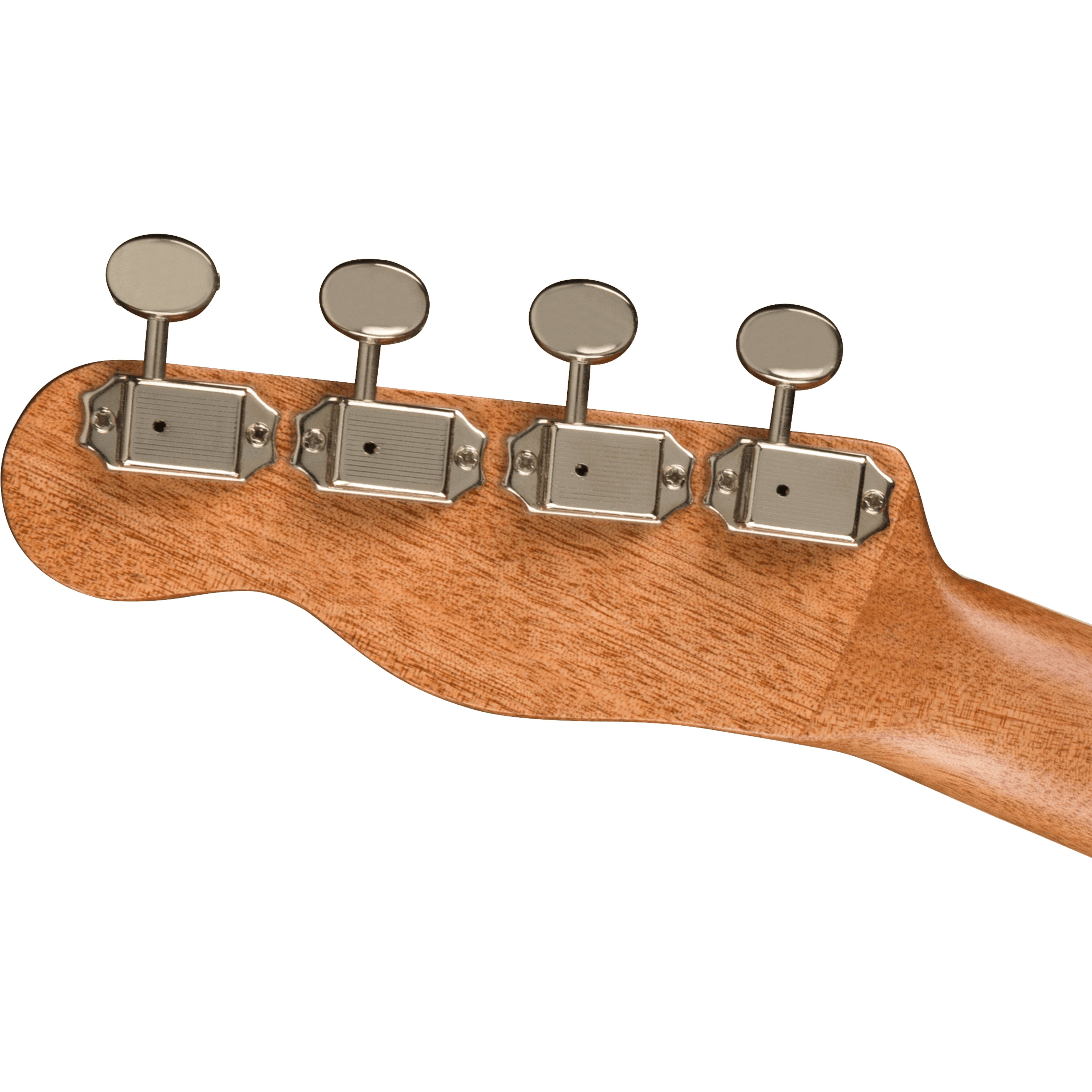 Fender California Coast Zuma Exotic concert ukelele bocote