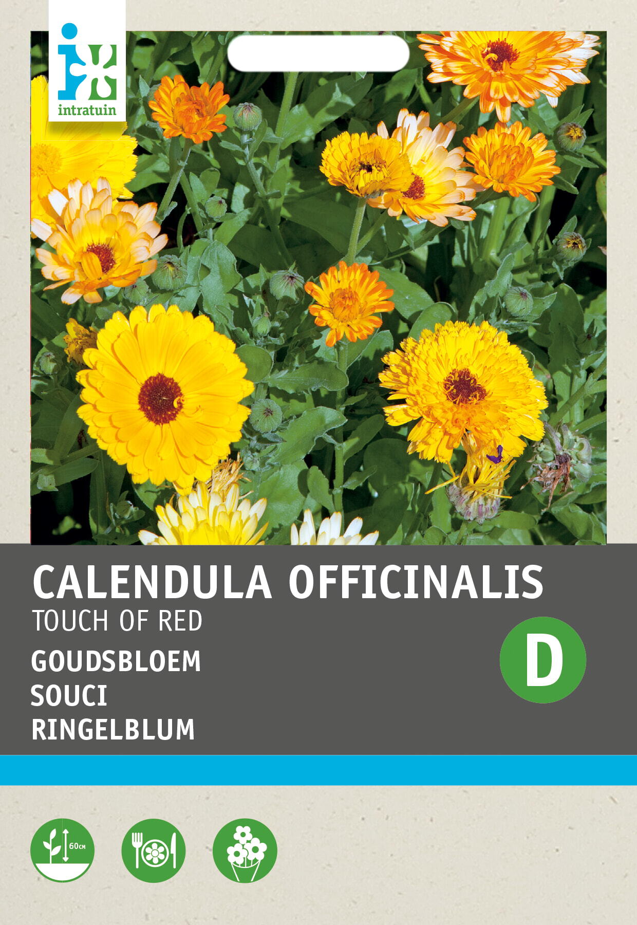 Intratuin bloemenzaad Goudsbloem (Calendula 'Touch of Red')