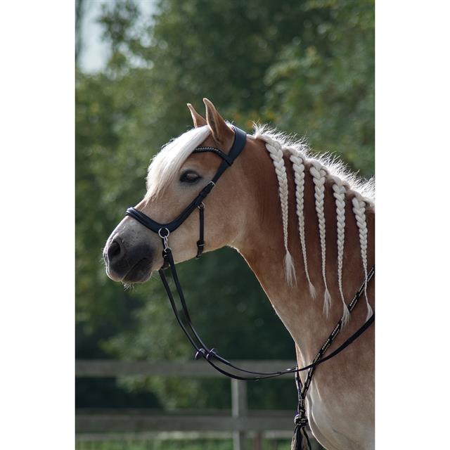 Bitloos Hoofdstel Free Horse FHLibertas Zwart