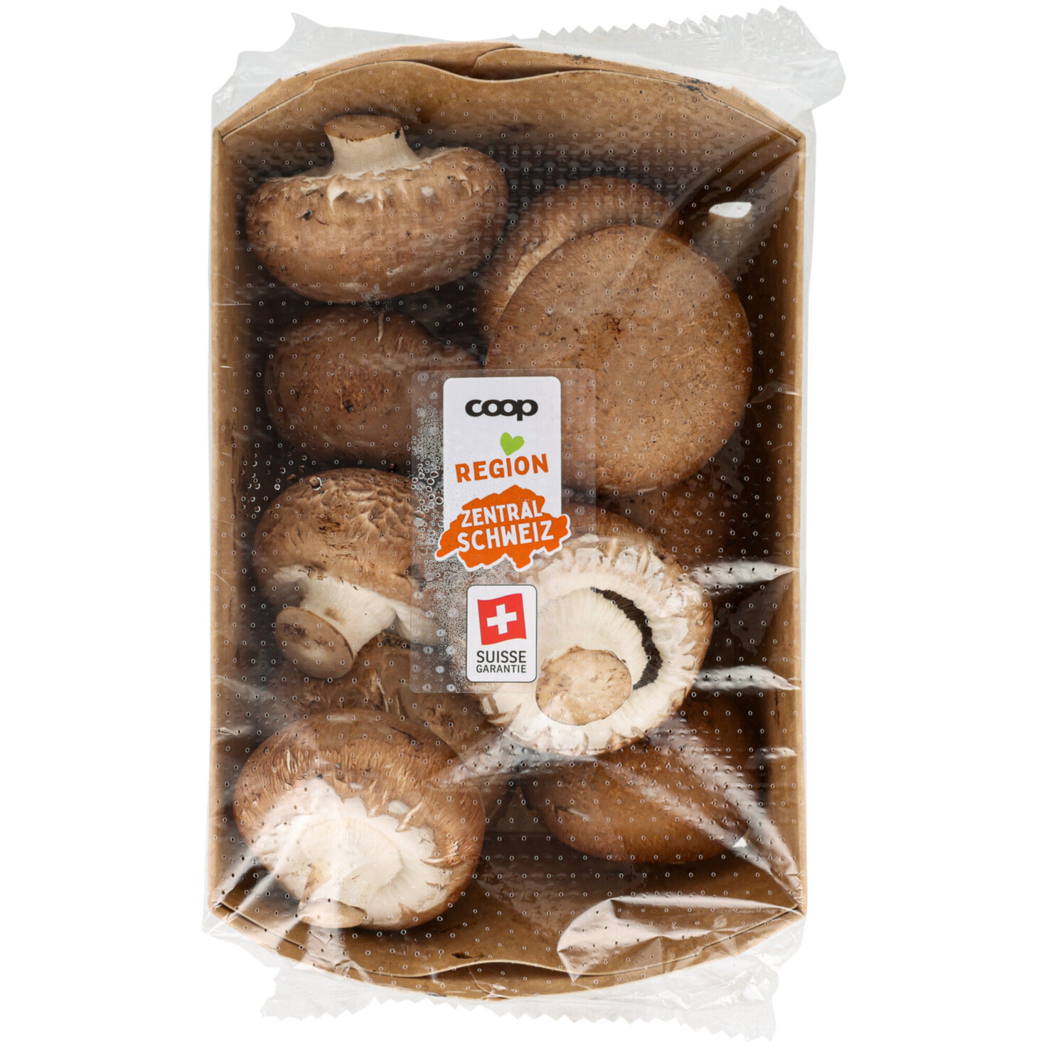 Champignons braun -