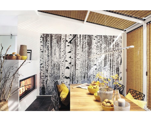 Vliesbehang V8-724 Woods, 8-delige set, 400 x 270 cm