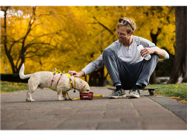RUFFWEAR® Hundegeschirr Flagline Harness 2.0