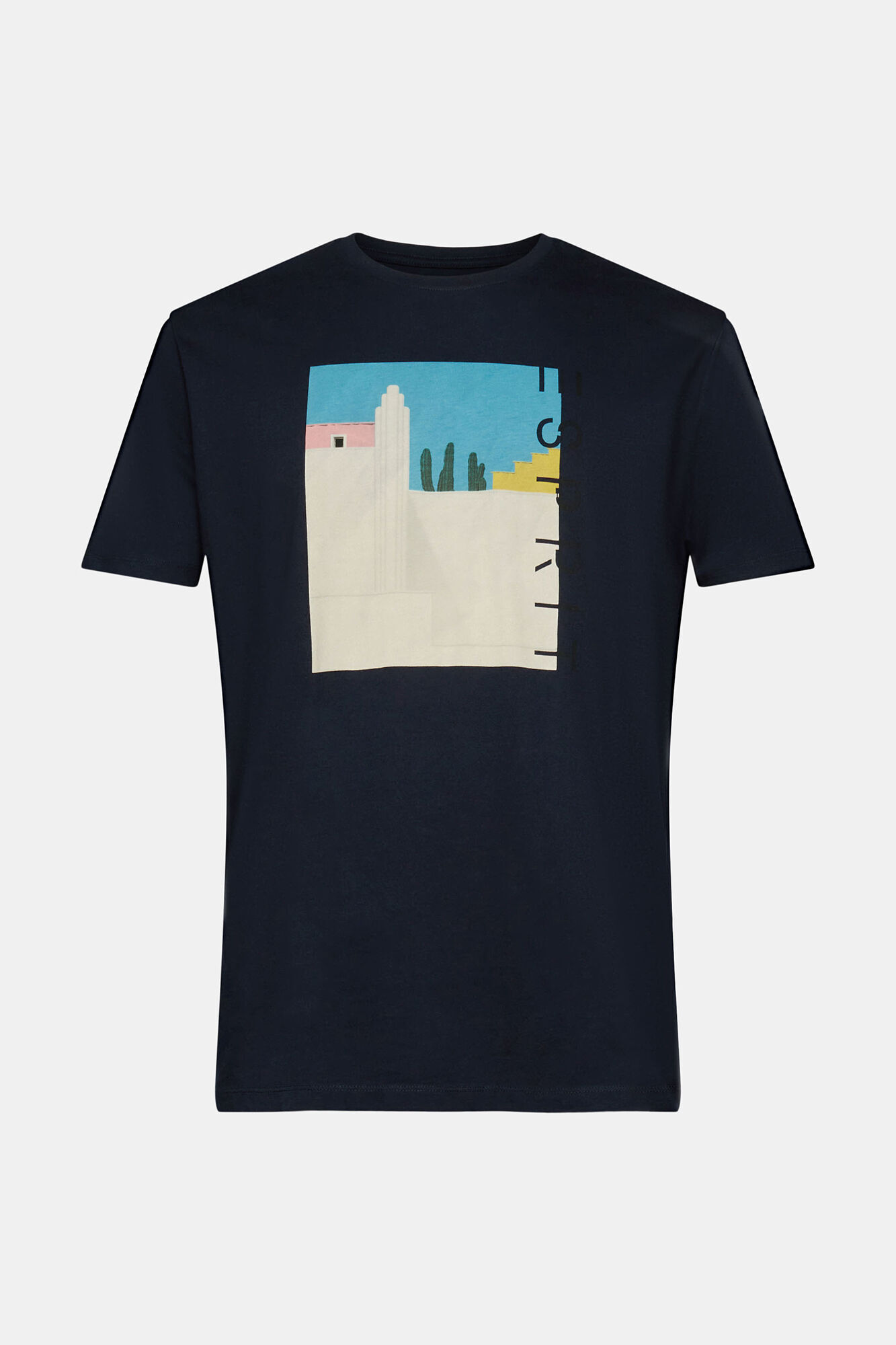 Camiseta estampada de corte regular - Estampa azul