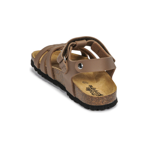 Citrouille et Compagnie - JANISOL - Marron taupe