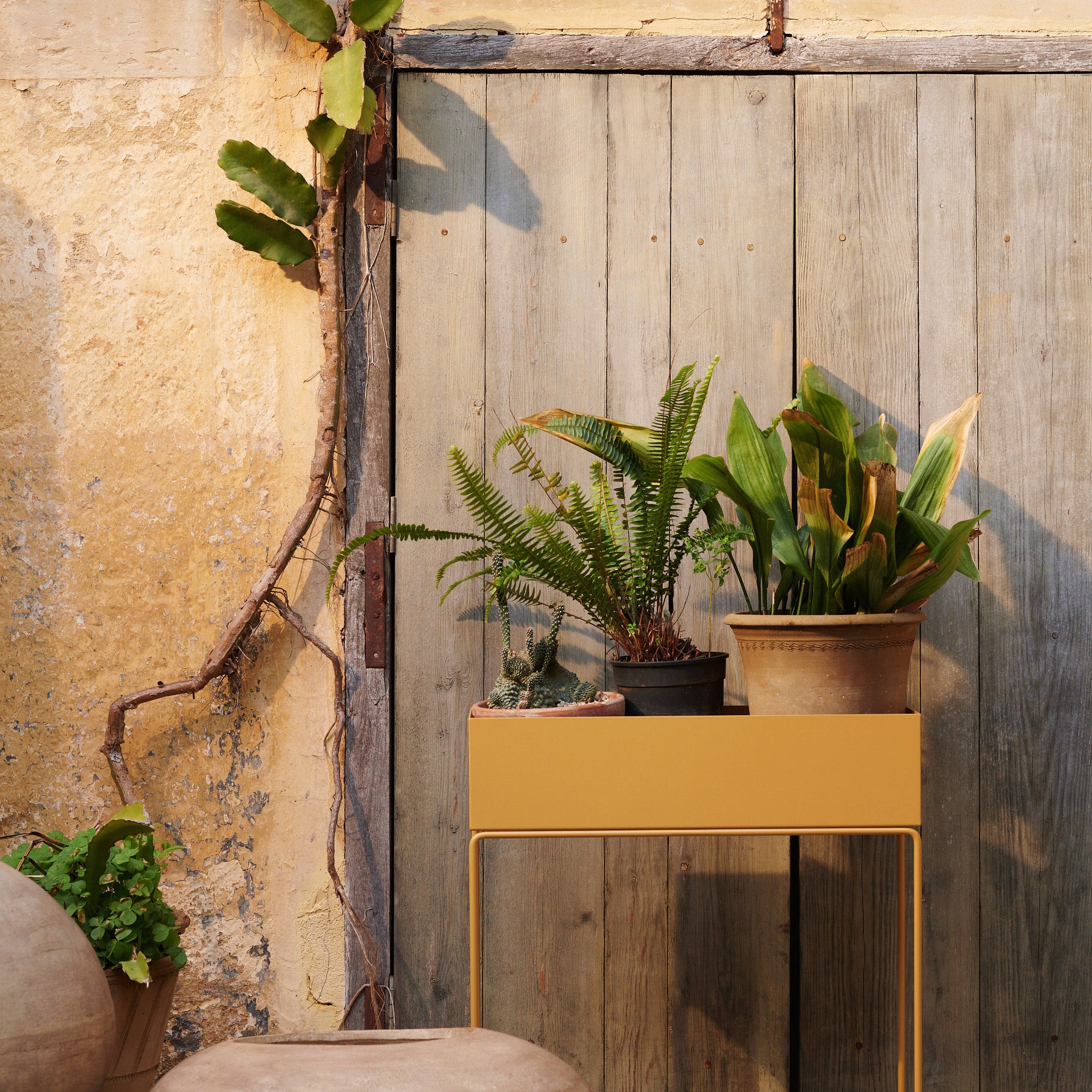 Ferm Living Plant Box Plantentafel - Straw