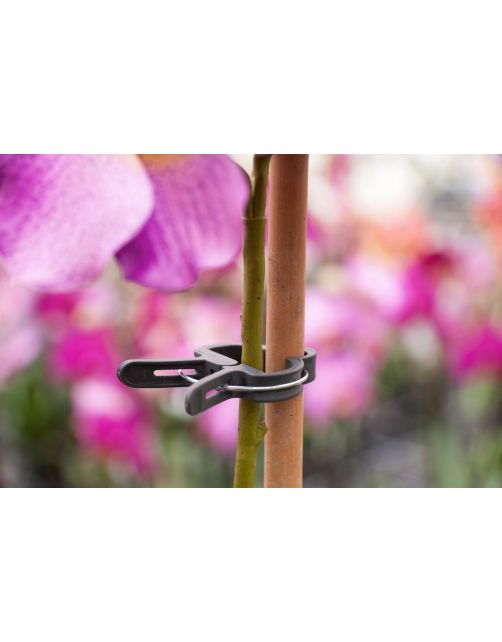 Nature Plantenclip - Klim-En Geleide Artikel - Groen 5 stuks Ø18 Mm