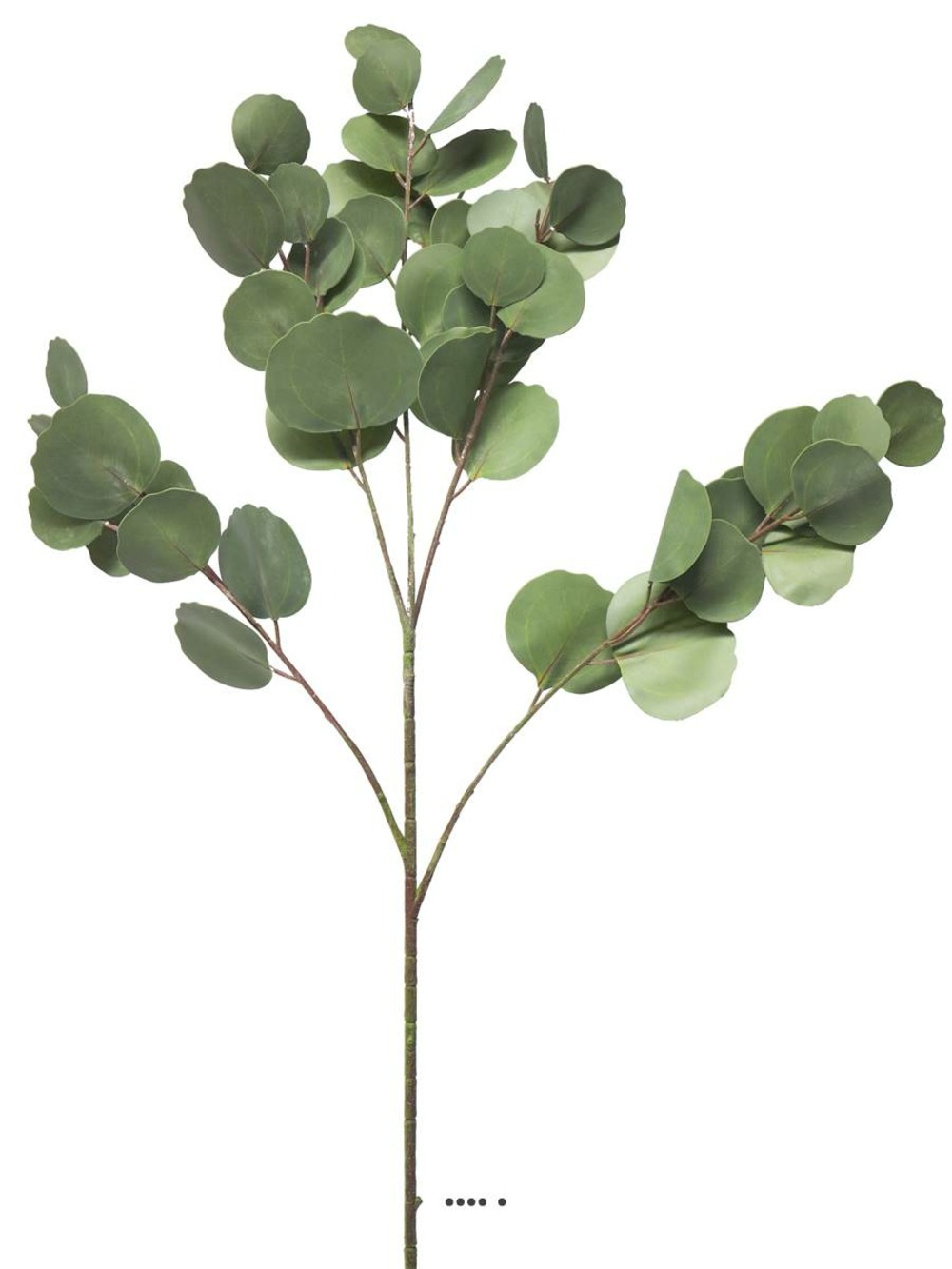 Branche d’eucalyptus artificielle, 3 ramures, h 88 cm - best