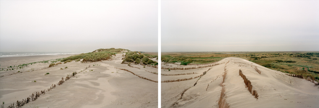 Boschplaat 2 by Jan Koster - Limited Edition. Edition of: 100. Signed.