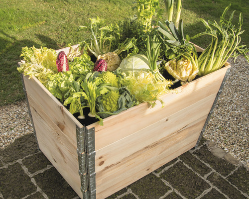 Modulair systeem voor verhoogde tuinbedden, palletframe wanddikte 20 mm 120x80x20 cm naturel