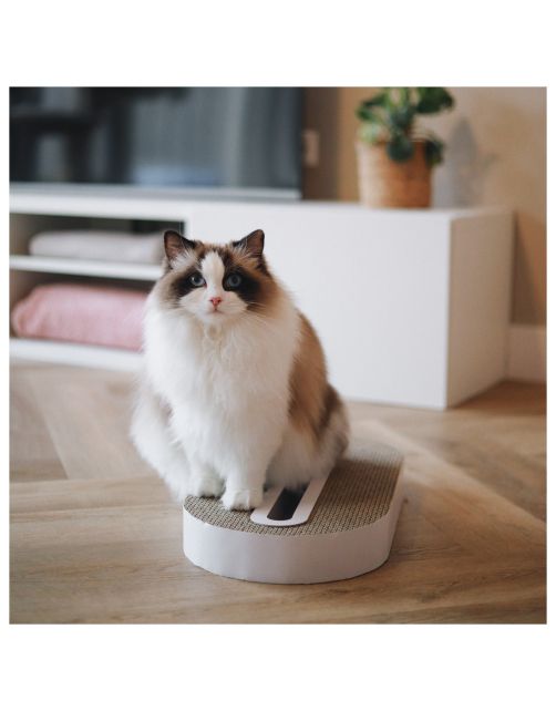 District 70 Krabspeelgoed Track - Kattenspeelgoed - 52x26x6 cm Wit