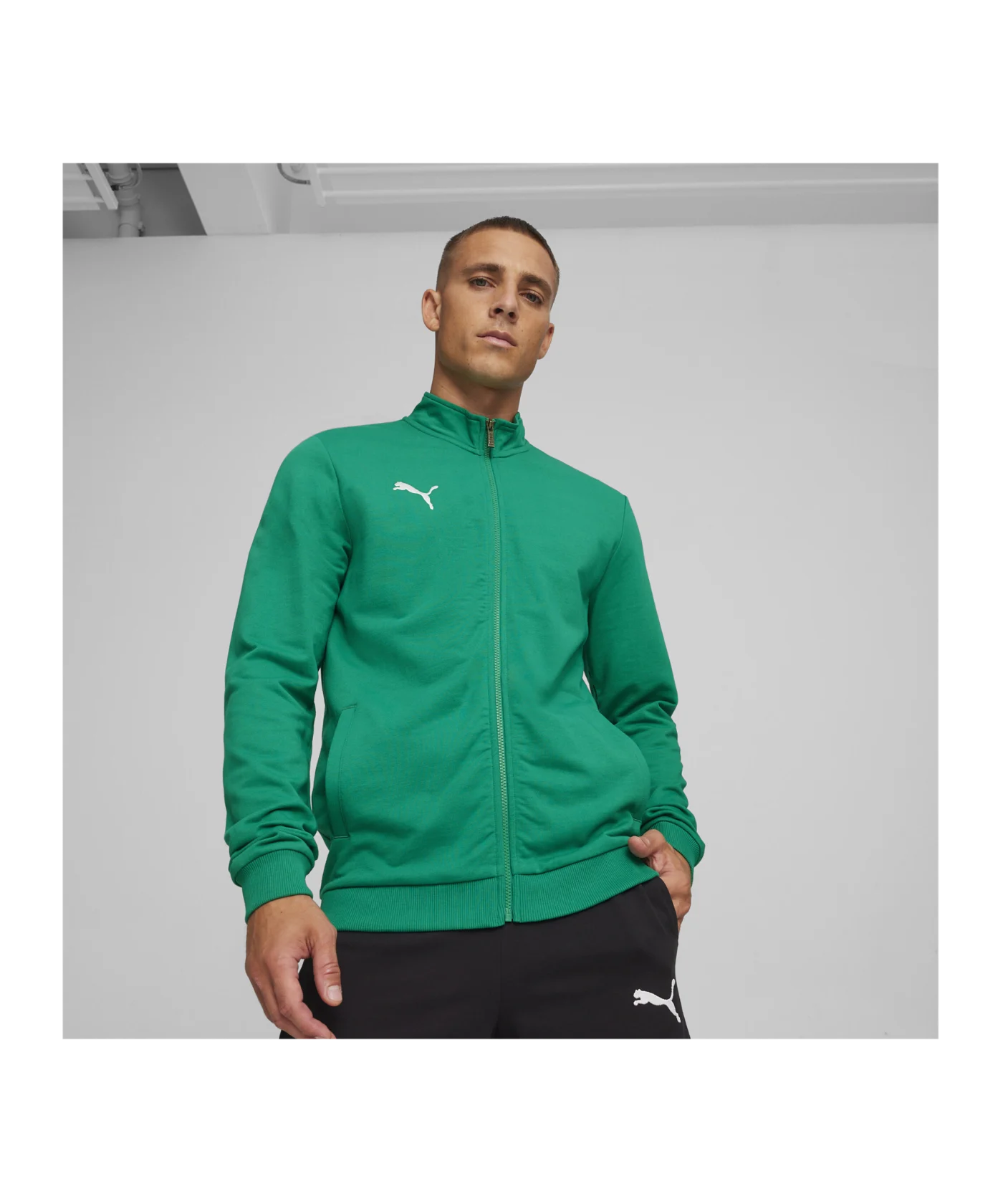 PUMA teamGOAL Casual Trainingsjacke Grün Weiss F05