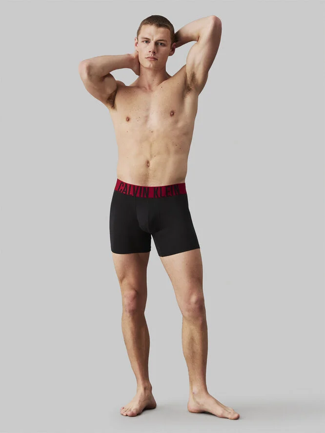 Calvin Klein BOXER BRIEF 3PK B- juneberry lgs