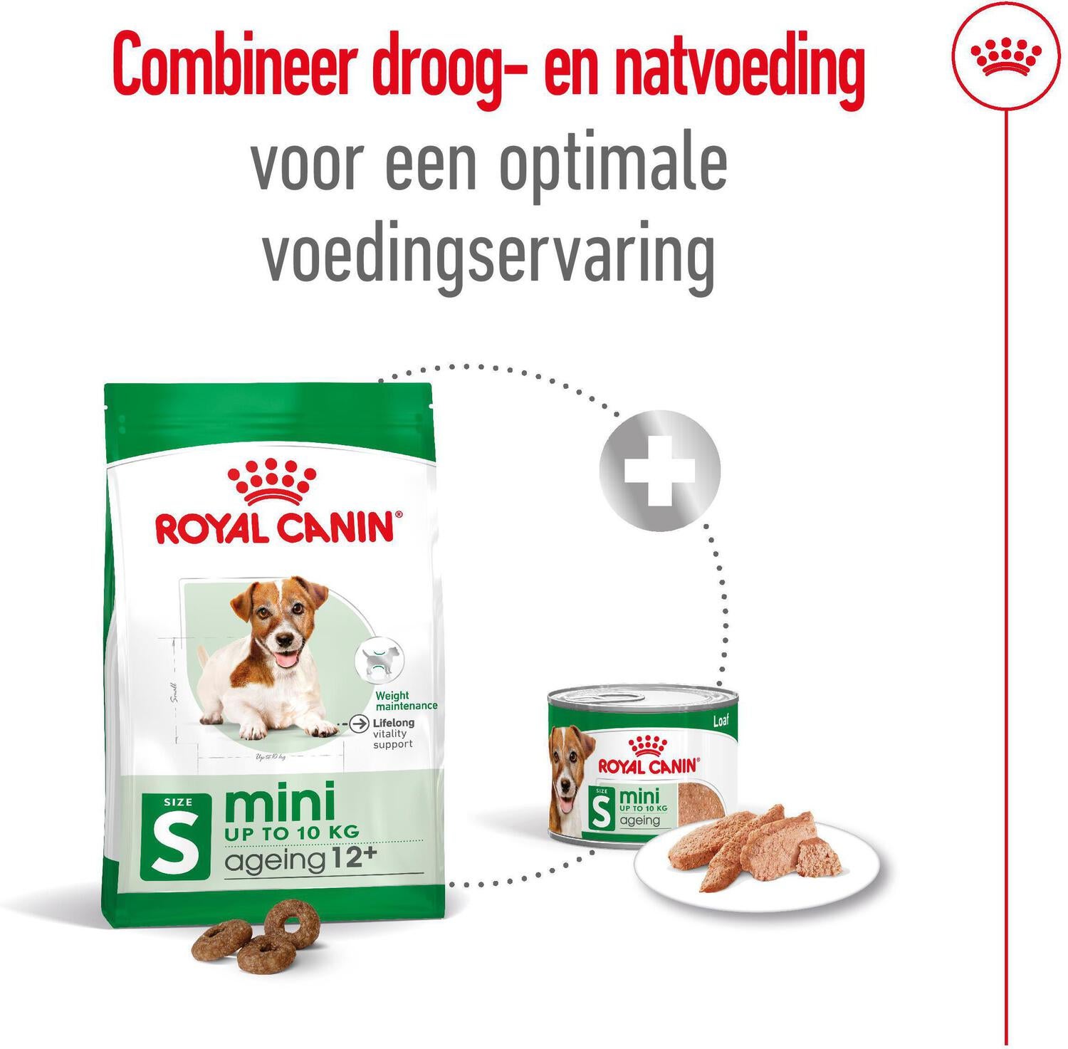 Royal Canin hondenvoer Mini Ageing 12+ 3,5 kg