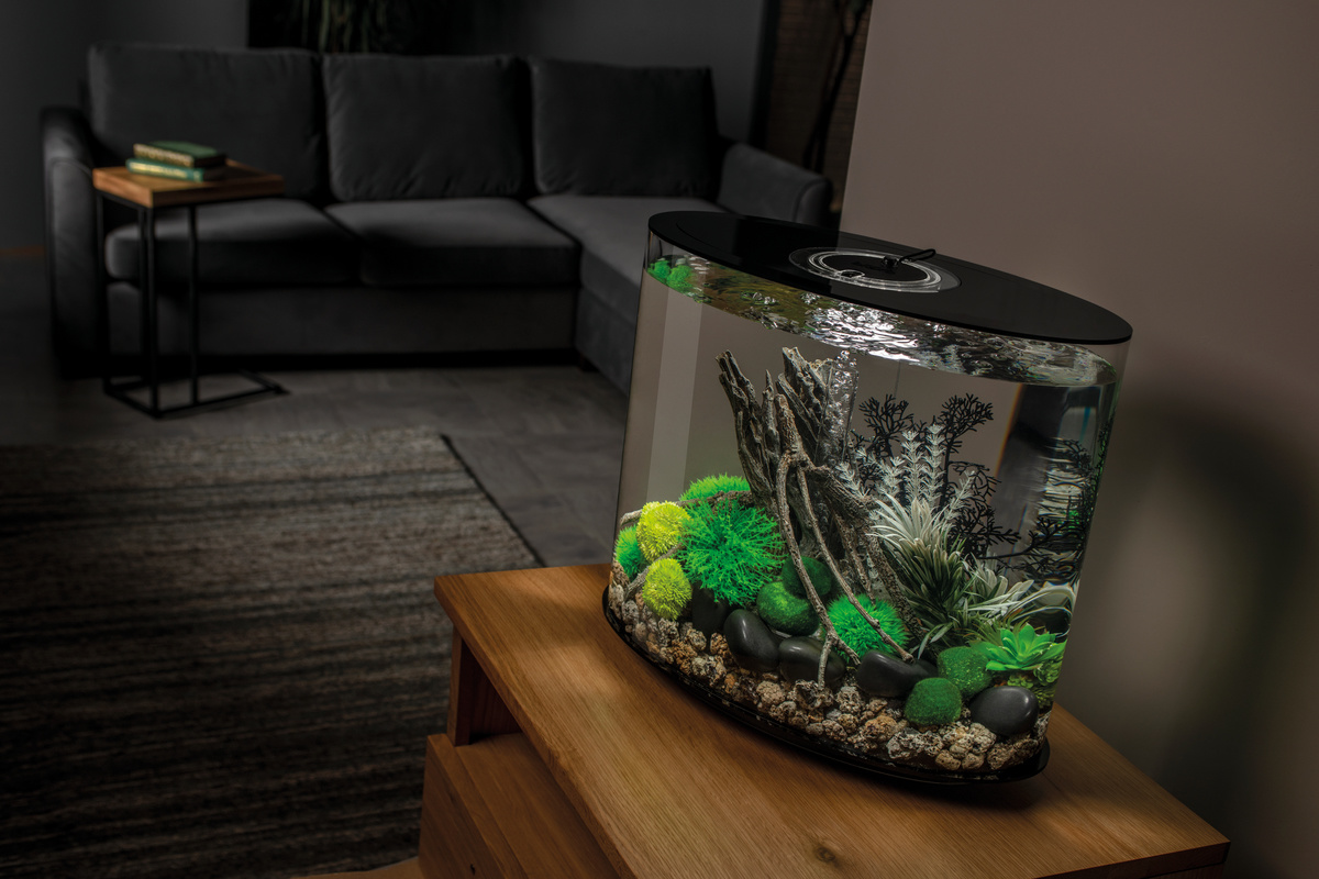 BiOrb LOOP 30 MCR Zwart | Aquarium van klein formaat