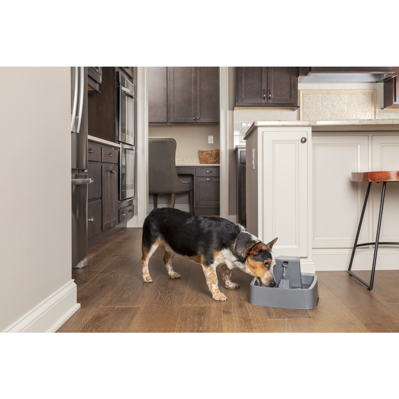 PetSafe Trinkbrunnen 3,7 l