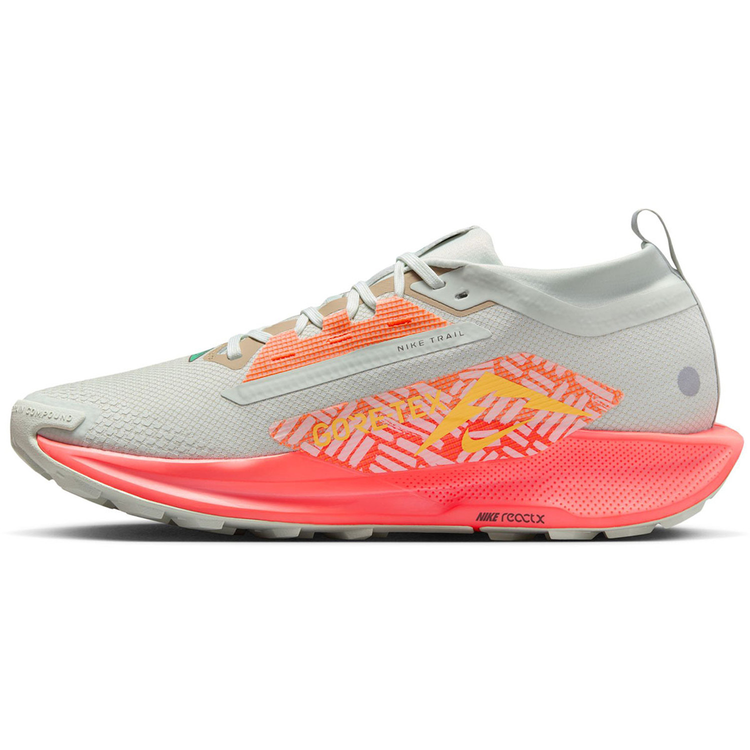 Nike Pegasus Trail 5 GTX Heren
