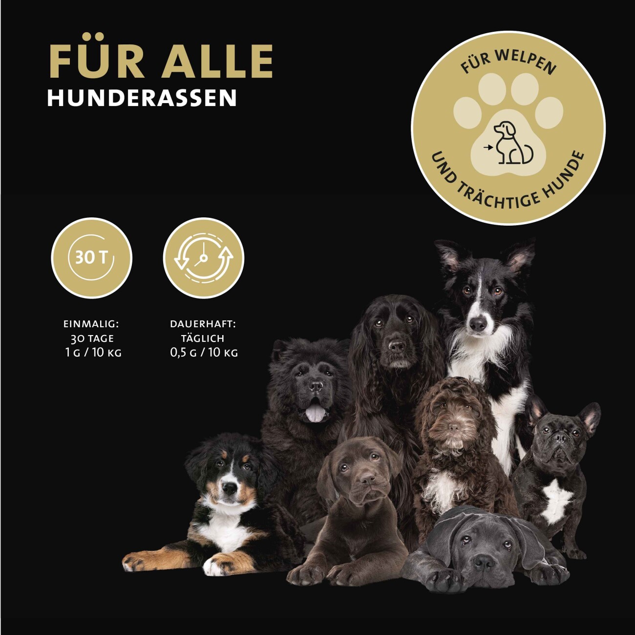 Peticare Ergänzungsfutter Sekundäre Pflanzenstoffe Pulver für Hunde 125g