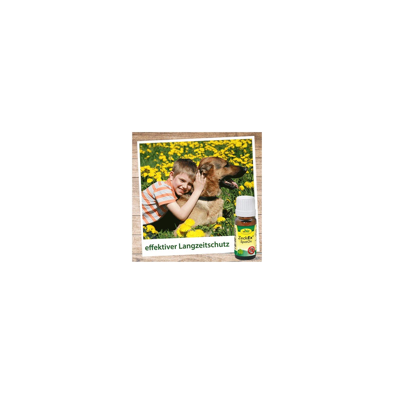 cdVet ZeckEx SpotOn 10ml