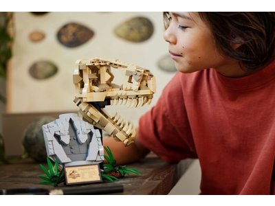 LEGO Dinosaurusfossielen: T. rex schedel (76964)