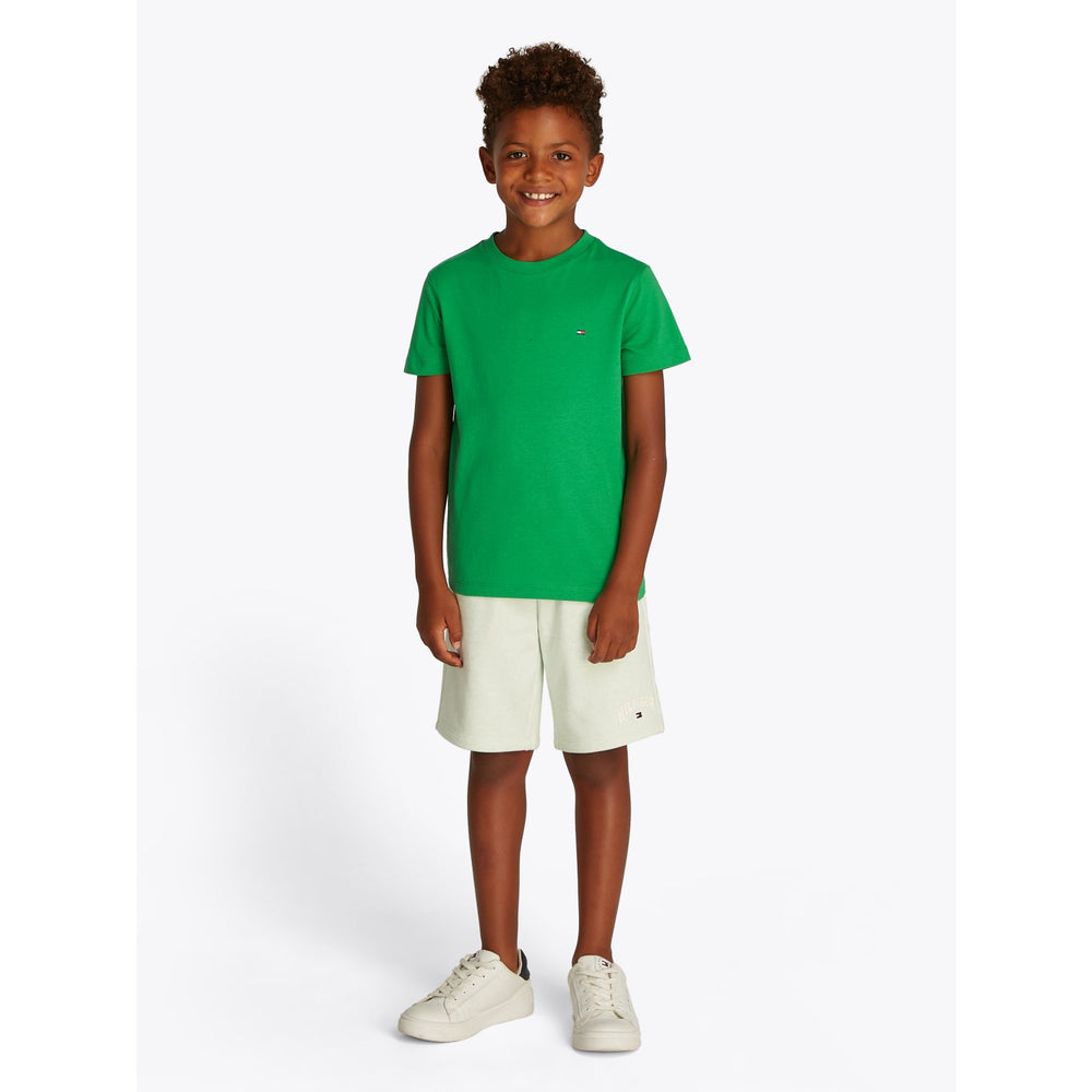 Køb Tommy Hilfiger Radiant Green Essential Bomuld Reg T-Shirt