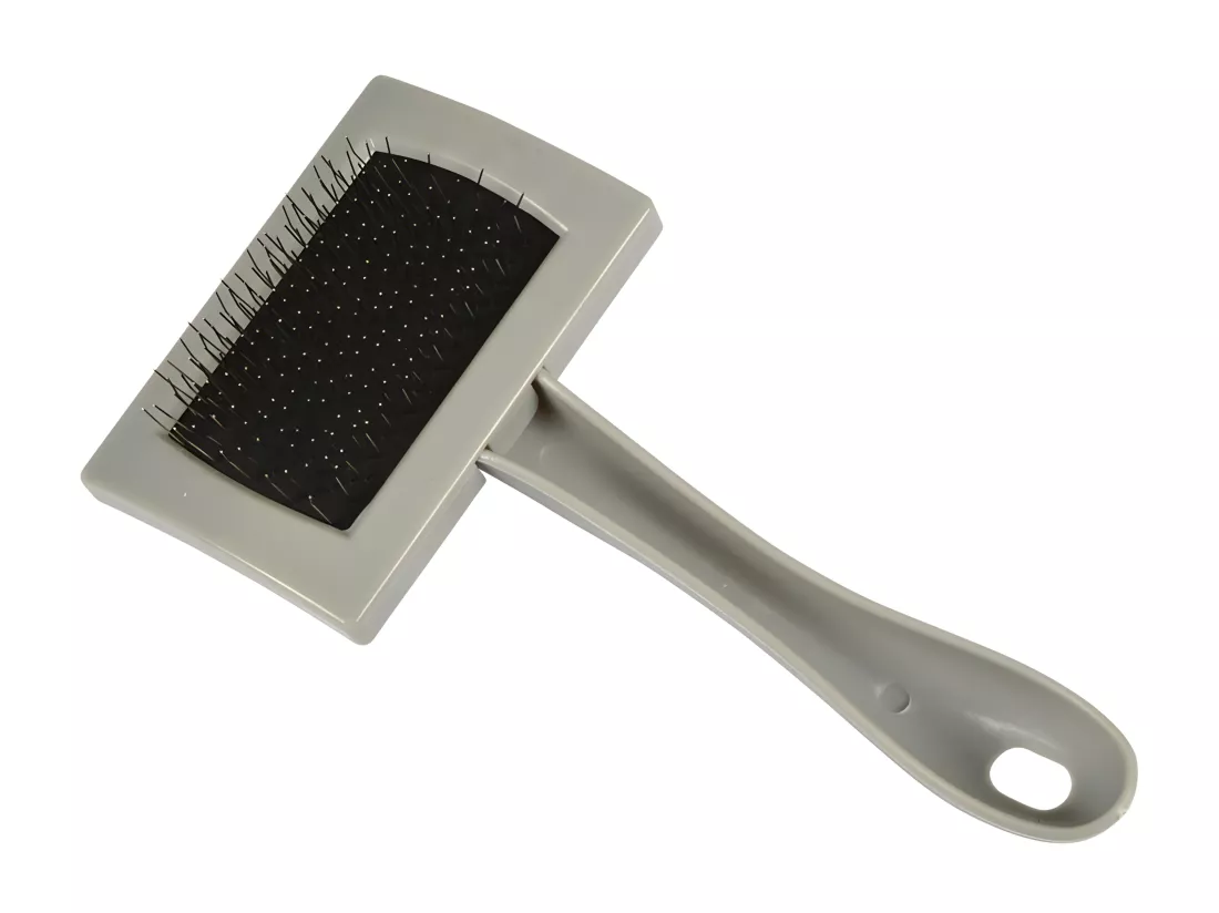 Brosse de Toilettage 