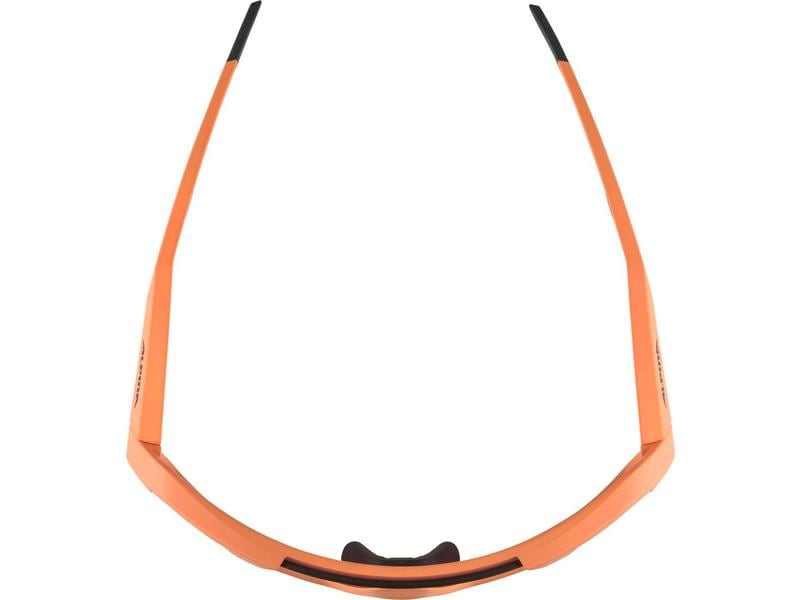 alpina Sportbrille ROCKET Q-LITE Velobrille