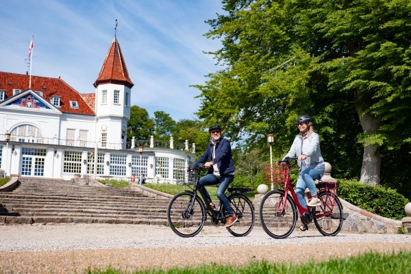 Winther Red Superbe 2 - Elcykel - 2025