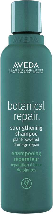Aveda Botanical Repair Shampoo 250ml