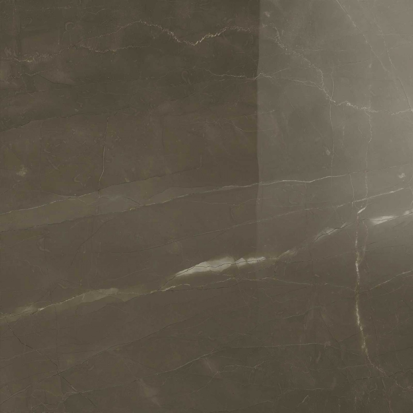 Tegelsample: Navale Mármore vloertegel 60x60cm pulpis glans gerectificeerd