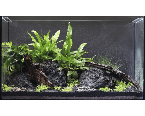 Aquarium waterplantenpakket M 