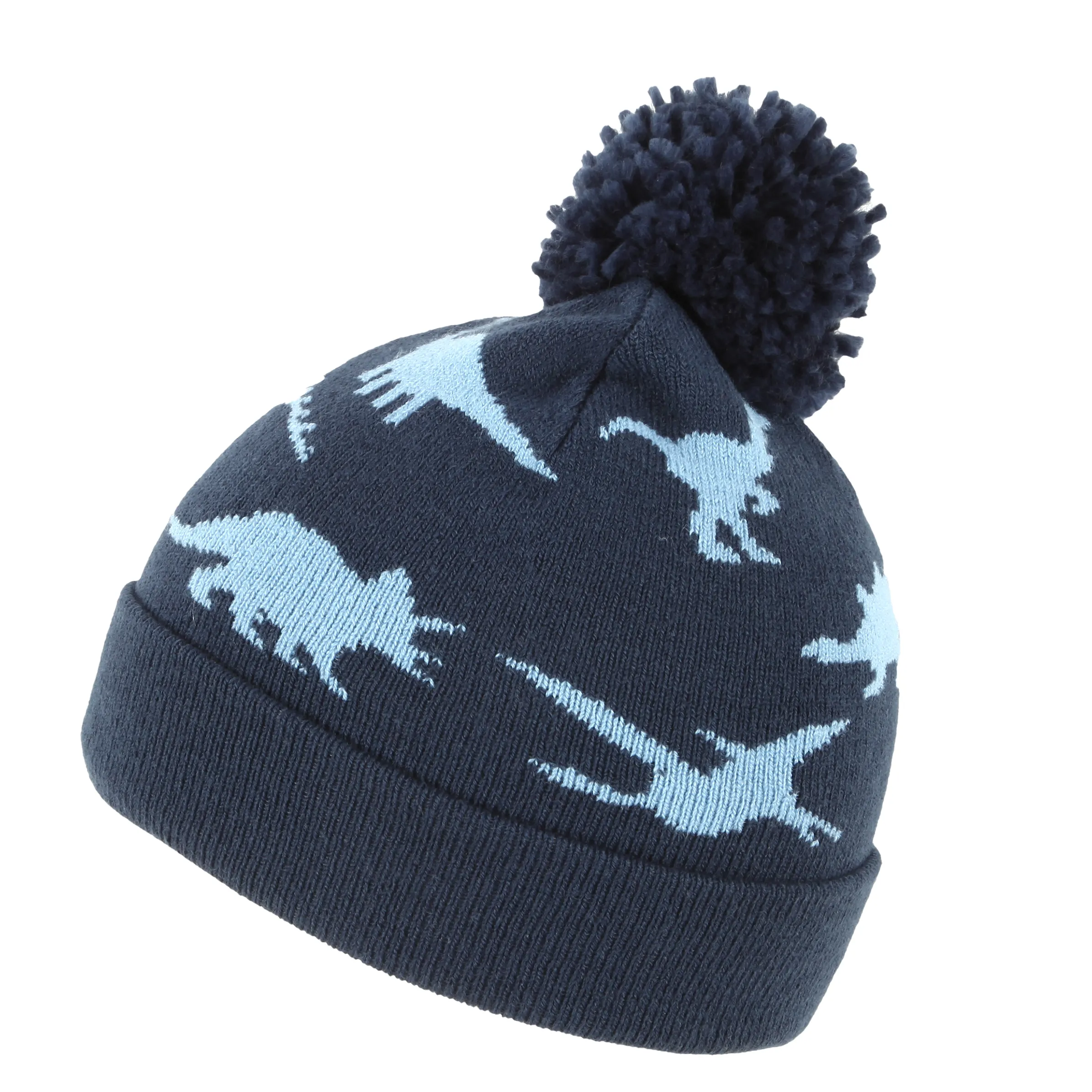 Jungen Mütze mit Dinoprint