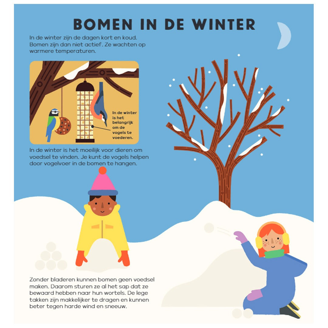 Uitgeverij davidsfonds mijn eerste boek over bomen