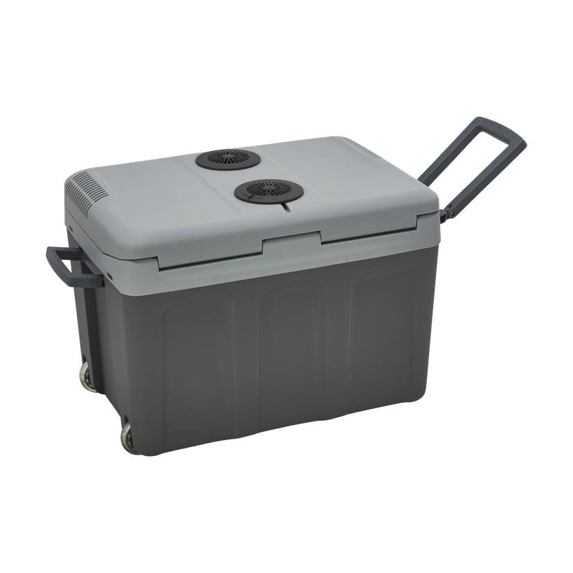 Kjøleboks med hjul 40 l 12/230 V