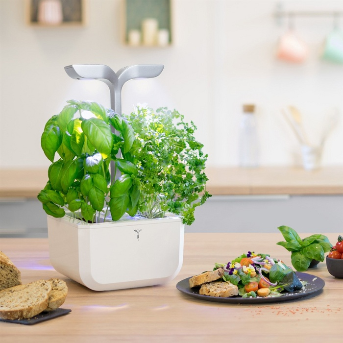 (2-fach) Exky Smart Kräutergarten Indoor Gemüse Beet Blumen Anzucht mit LED Beleuchtung / Wassertank (VEXK-SAWAS-FR-40) - Arctic White