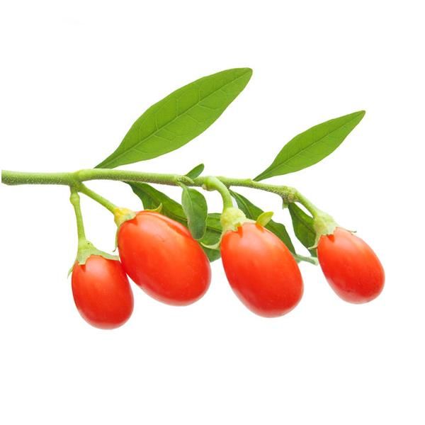Bagas Goji Fresco Bio - Emb 100G