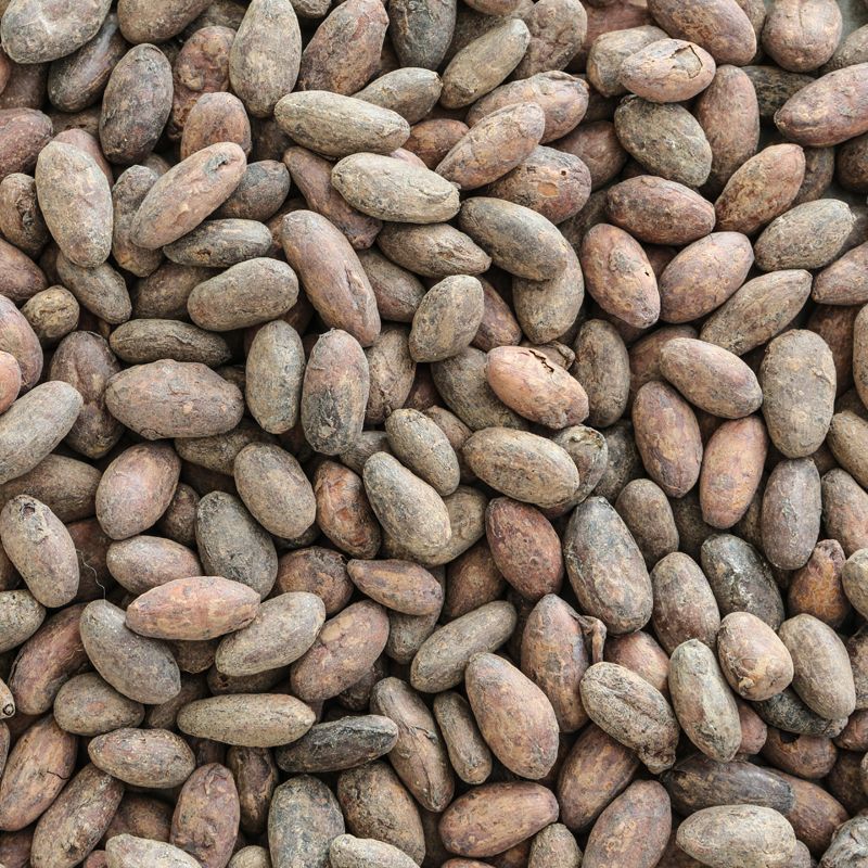 Cacao bonen (bio)