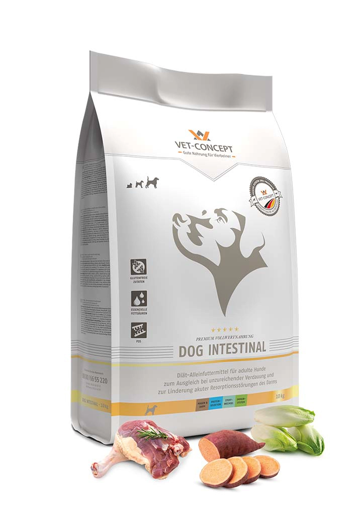 Dog Intestinal