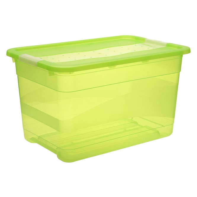 Kristallbox - grün - 52L