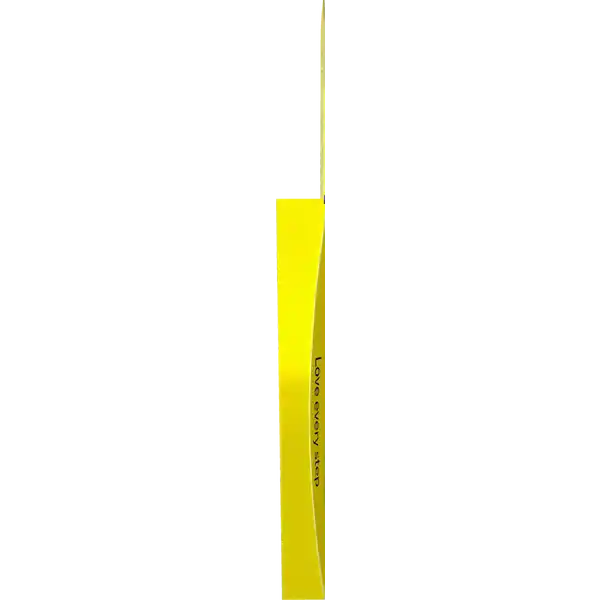Blasenpflaster