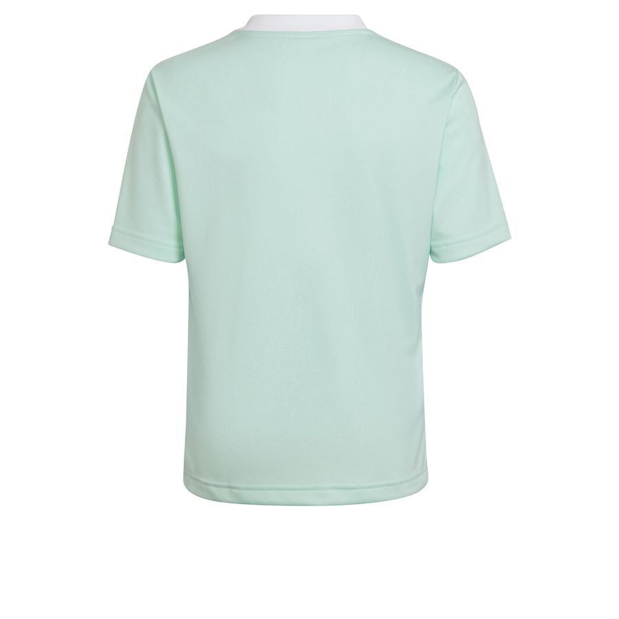adidas T-shirt d'Entraînement Entrada 22 - Vert/Blanc Enfant