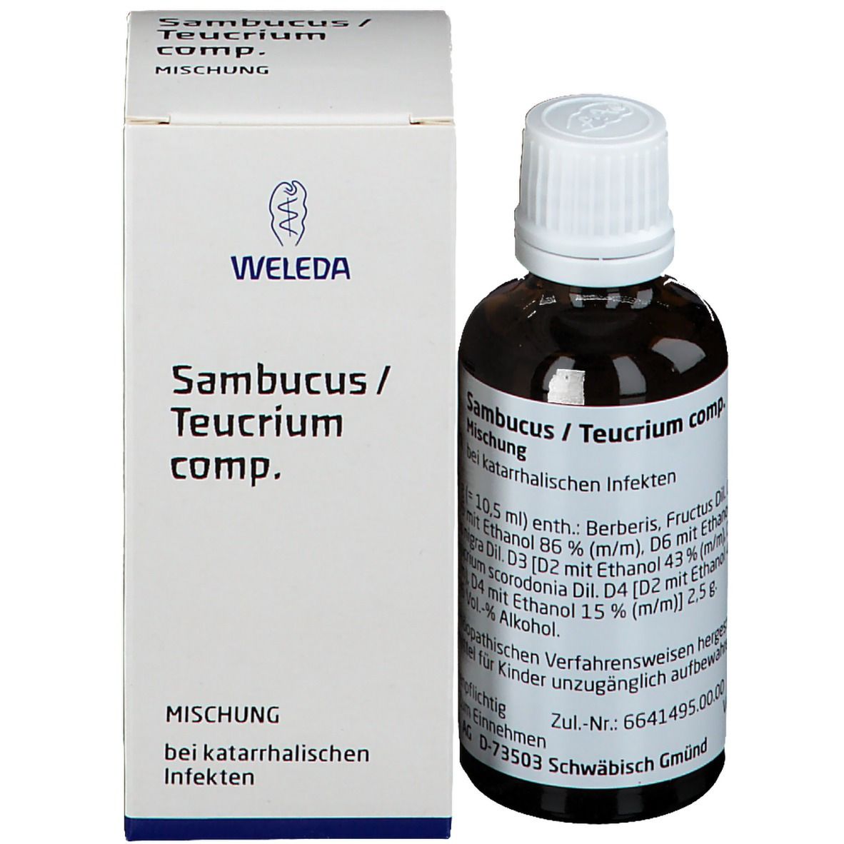 Sambucus / Teucrium comp. Dilution