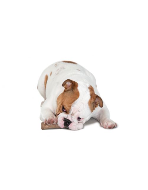 Petstages Dogwood Stick Bruin - Hondenspeelgoed