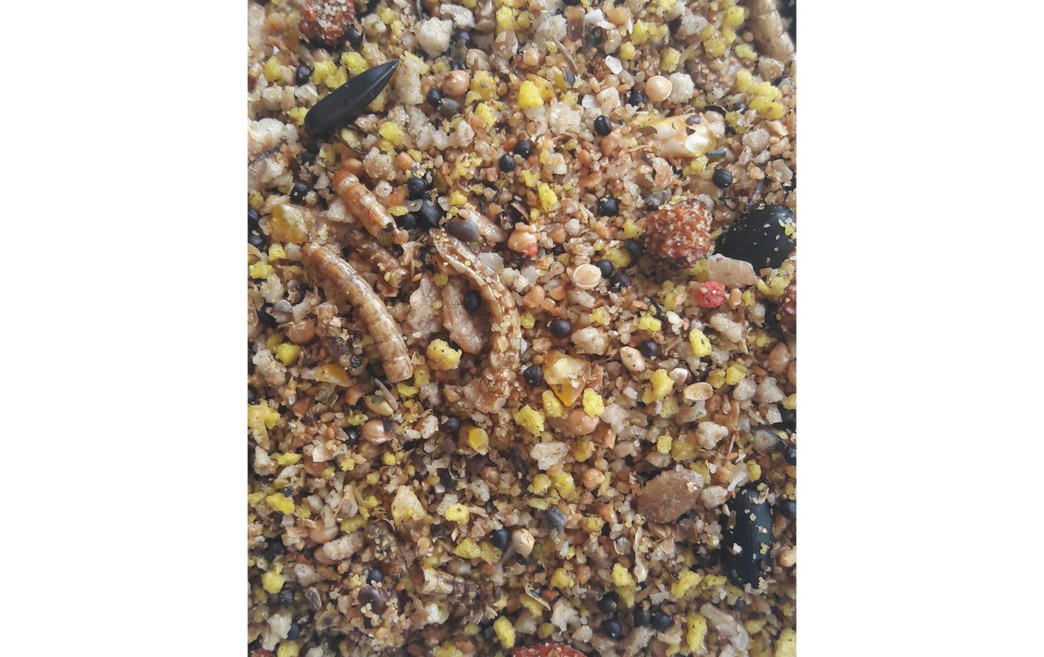 Vogelfutter MN Nesting Blend 2.5 kgWildvogelfutter für das ganze Jahr