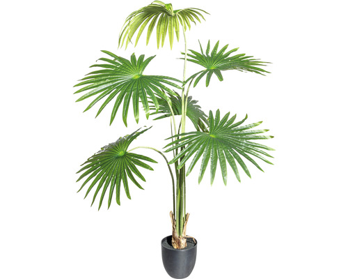 Kunstpalm Washingtonia H 120 cm groen