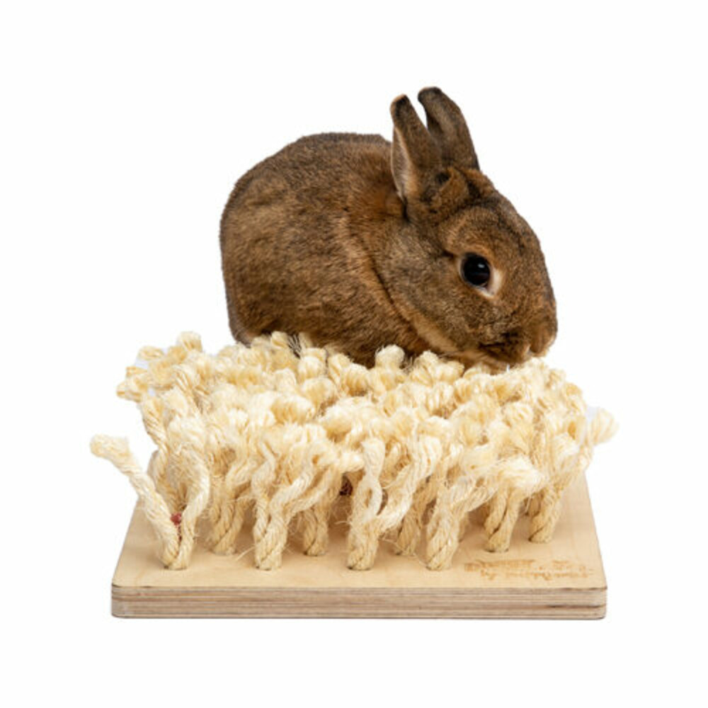 Bunny Nature Snuffelbord24 x 9 x 24 cm