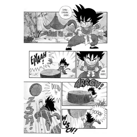 Carlsen Verlag Dragon Ball 1 Geheimnis