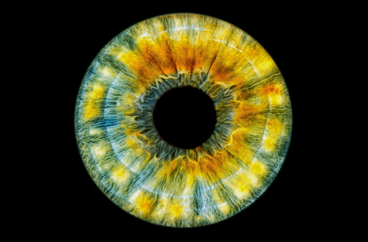 Iris Fotografie Hechingen